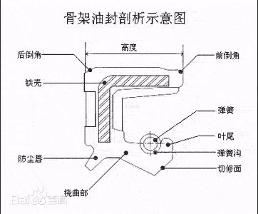 oil seal